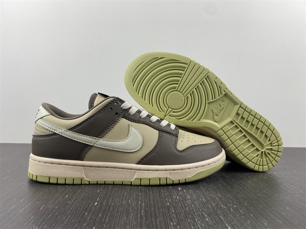 Nike SB dunk FB4960-210