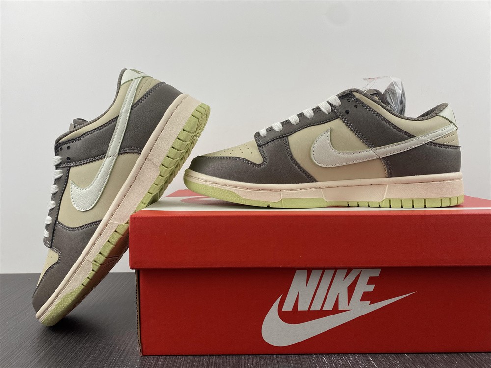 Nike SB dunk FB4960-210