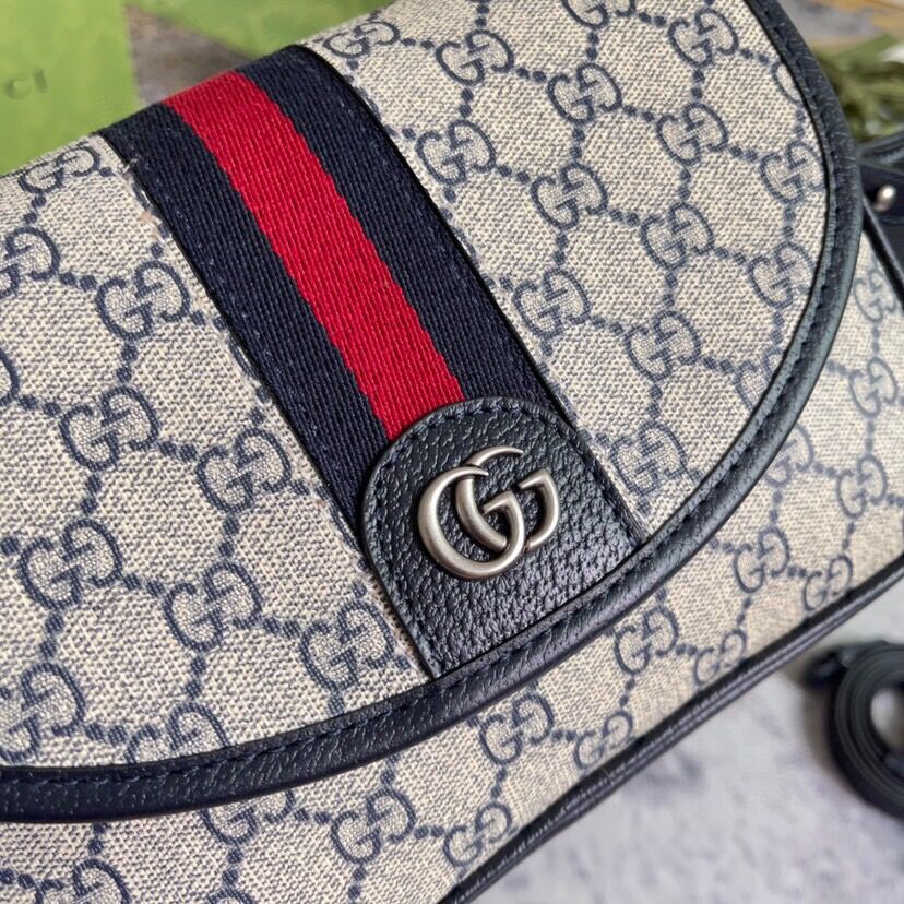 Gvcc1 bag 23x17x7cm