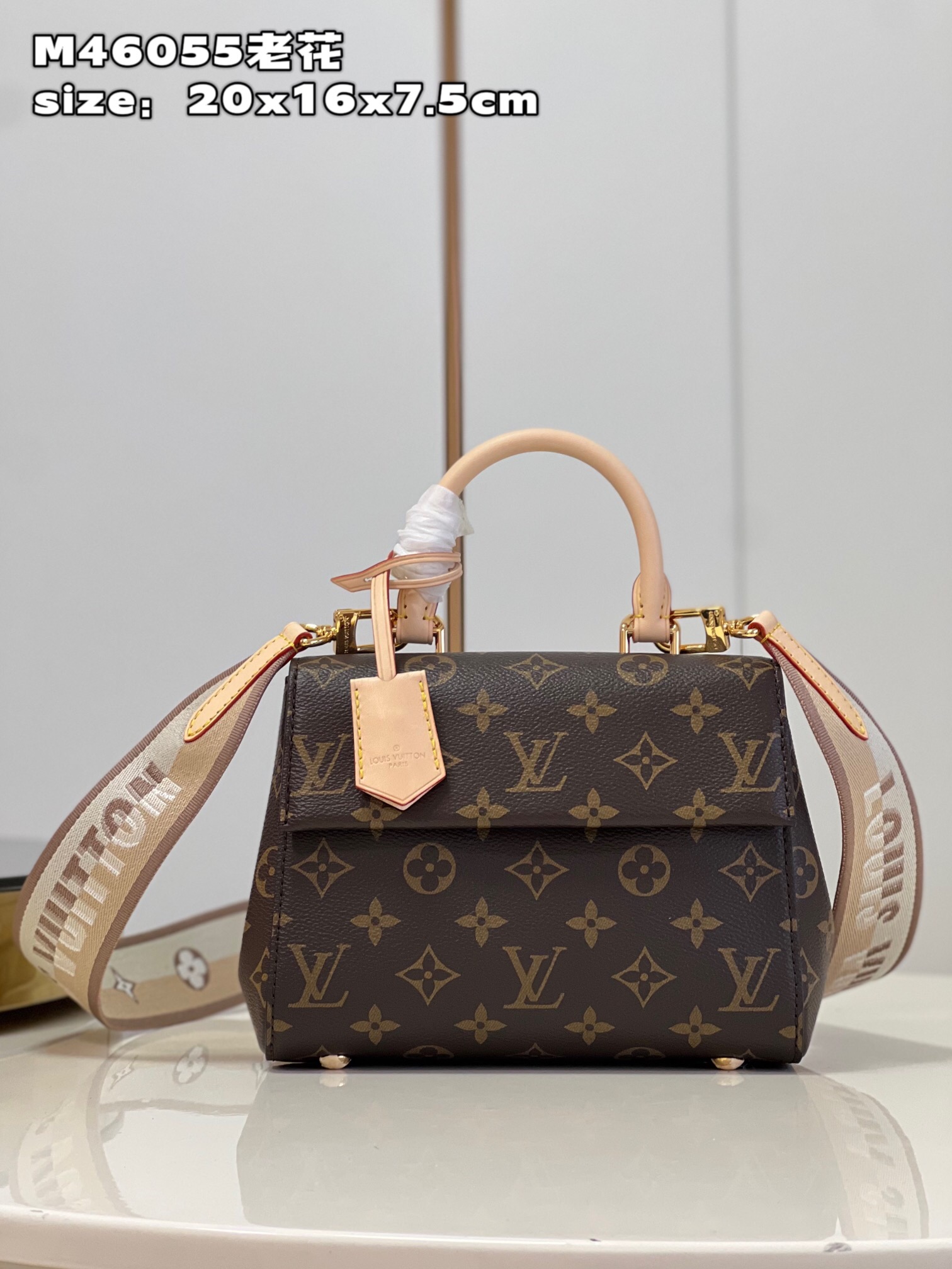 1V Cluny Mini Monogram M46055 20x16x7.5 CM