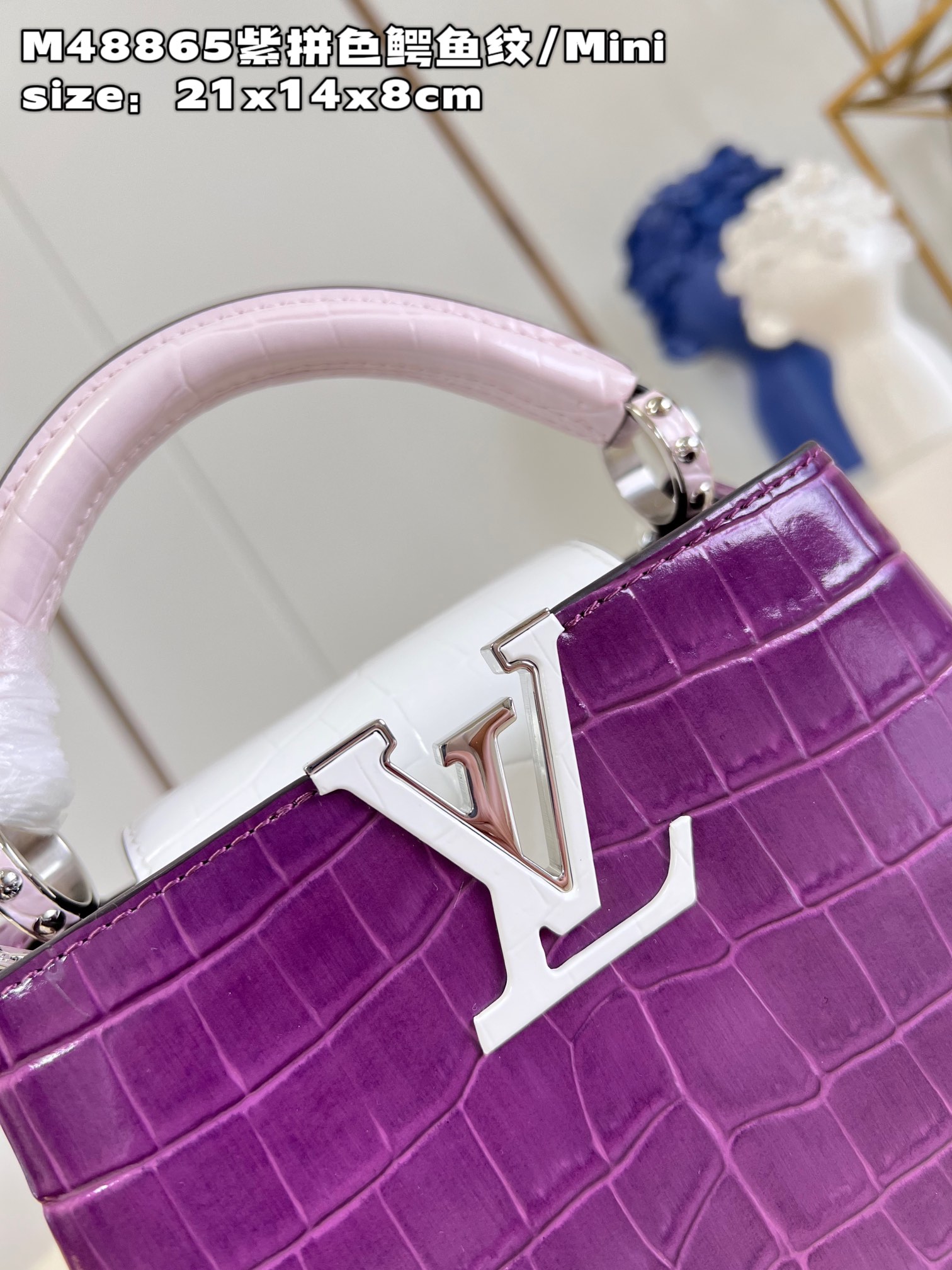 1V Capucines bag 21*14*8cm