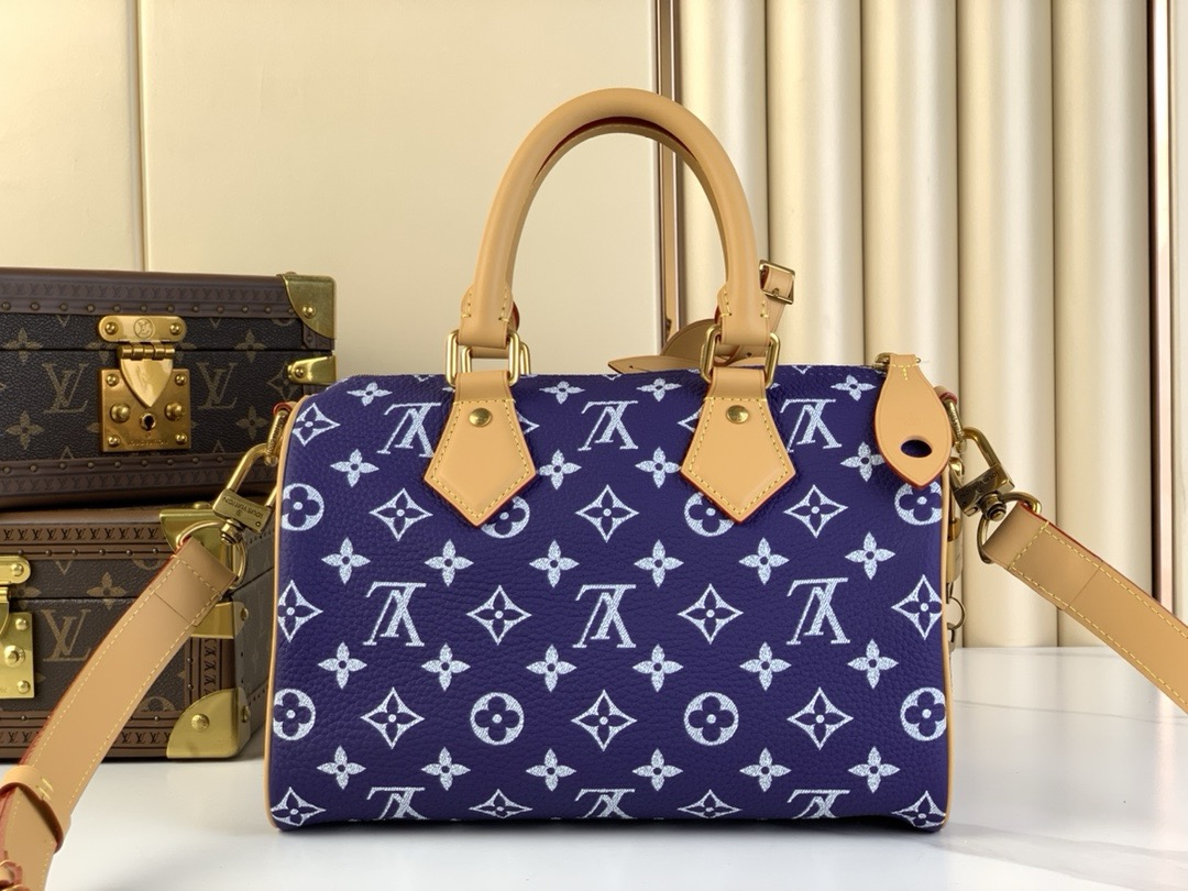 LV Speedy P9 Bandoulière 25 25*15*15CM