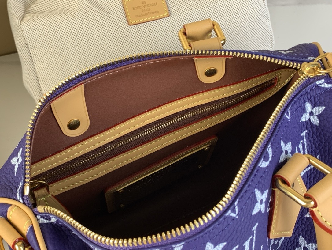 LV Speedy P9 Bandoulière 25 25*15*15CM