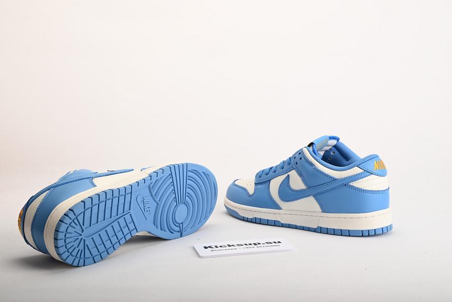 Nike Dunk Low Coast DD1503-100
