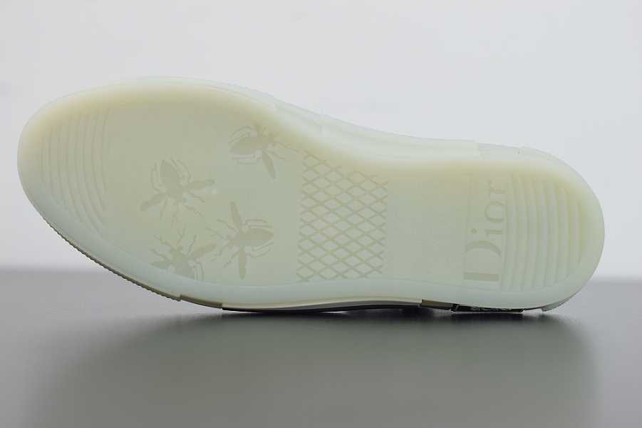 D10r Oblique Sneakers T00480h069