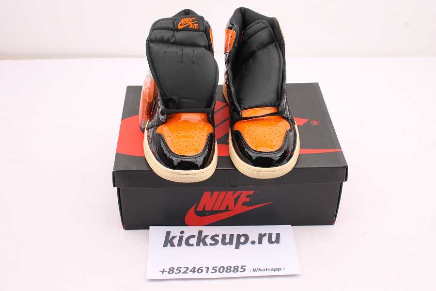 Air Jordan 1 Shattered Backboard 555088-028